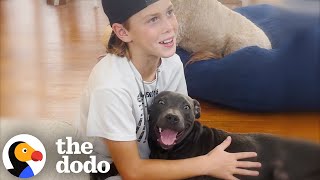 Boy Begs His Mom To Keep The Dog They Rescued From The Street The Dodo