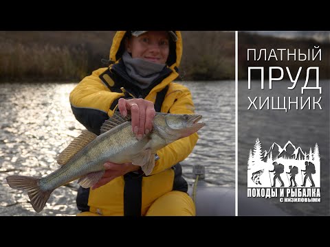 Видео: Рыбалка на хищника в конце октября  (29 10 2023)
