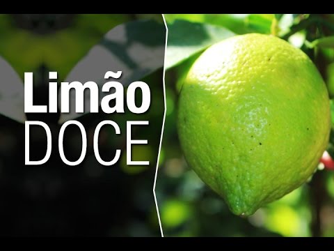 Vídeo: O que é um limão doce - Aprenda a cultivar árvores cítricas Ujukitsu