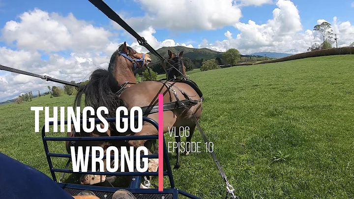 Things go Wrong - Vlog episode 10