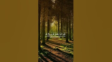 "راحة للقلب مع تلاوة خاشعة من القرآن الكريم" #قرآن #تلاوة #خشوع #قرآن_كريم #شورتس #راحة_القلب