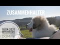 Nervensegen | 🟨 Misericordias Domini, 18.04.2021 Zusammenhalter