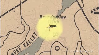 Brandywine Drop - All possible treasure locations : r/RedDeadOnline