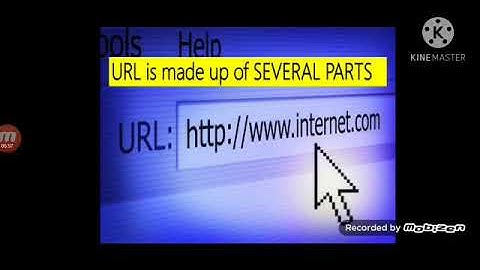 Identifying network resources