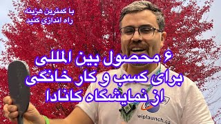 ۶ کسب و کاری از ایده های کانادا که موفق بودند و می تونید داخل خونه تولید کنید #استارتاپ #فروش by صادق مزیدی wiplaunch 1,903 views 6 months ago 9 minutes, 46 seconds