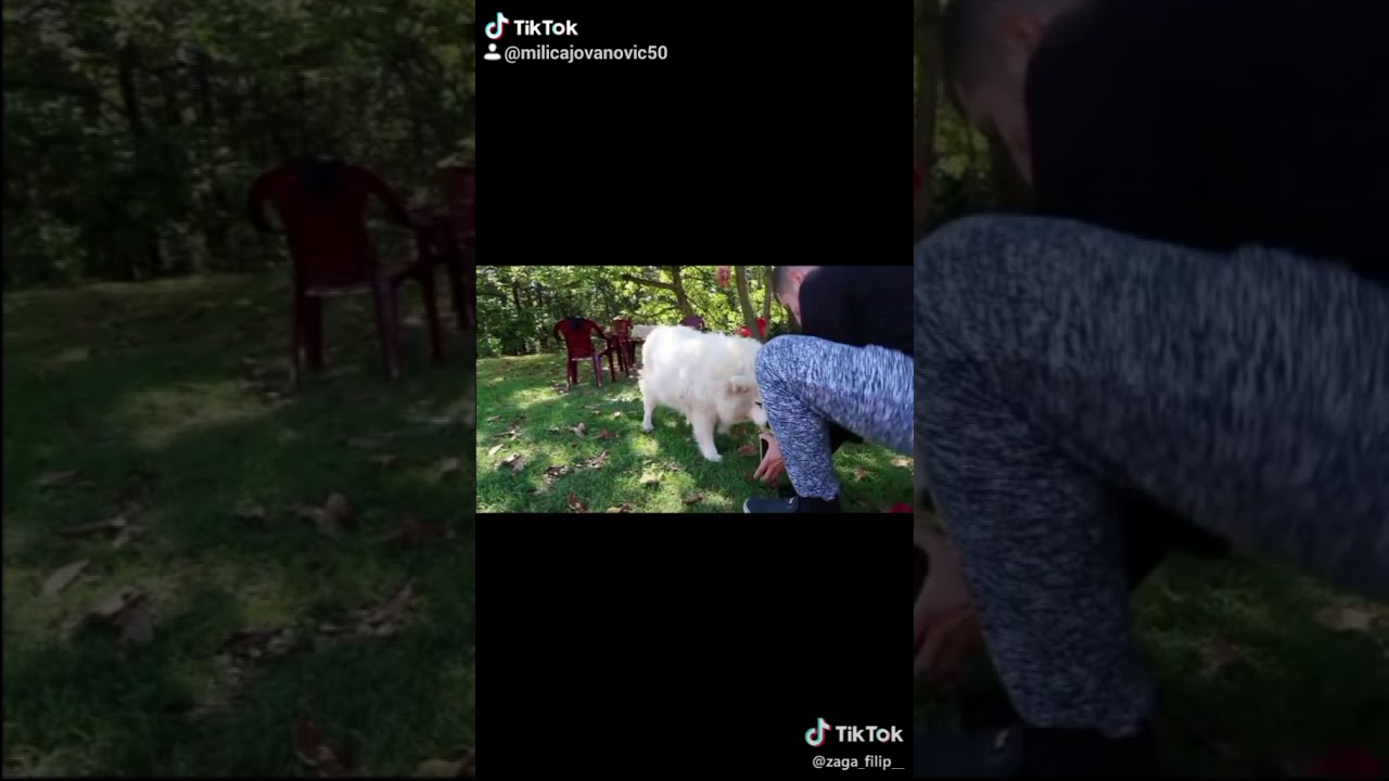 Zaga i filip - YouTube