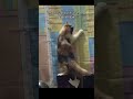 😭🖐🏻kya aap bhi maante haiii??🤷🏻‍♀️🎀ll #relatable #funnyreels #viral #funnymemes