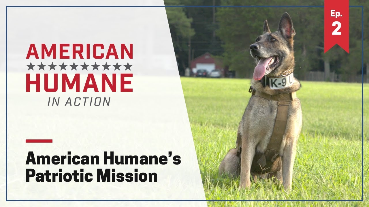 American Humane’s Patriotic Mission - YouTube