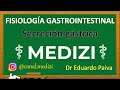 Clase 49 Fisiología Gastrointestinal - Secreción Gástrica