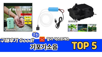 많이 사용하는 알리직구 기포기소음 추천 BEST 5