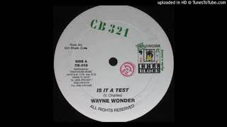 Wayne Wonder - Is It A Test