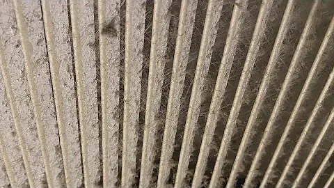 'This is uninhabitable' | Major mold problem causing issues for apartment resident