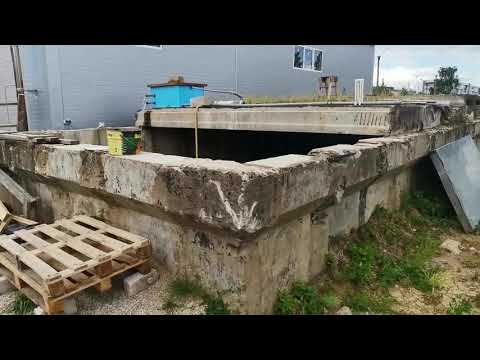 Удивляйтесь Где может жить осетр в каких условиях