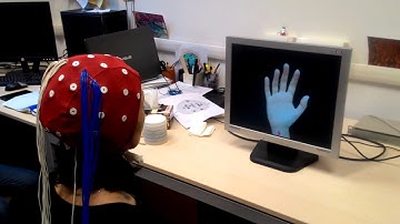BCI - Motor Imagery Test