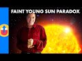 The Faint Young Sun Paradox - How Life Prevailed Against All Odds