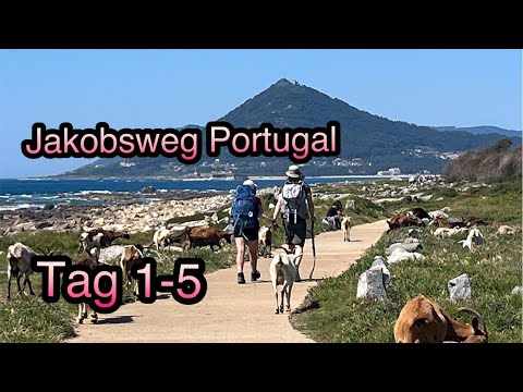 Jakobsweg Portugal 2023 - Reiseführer | Film Teil 1 von 3 zum Camino Portugues da Costa (Küstenweg)