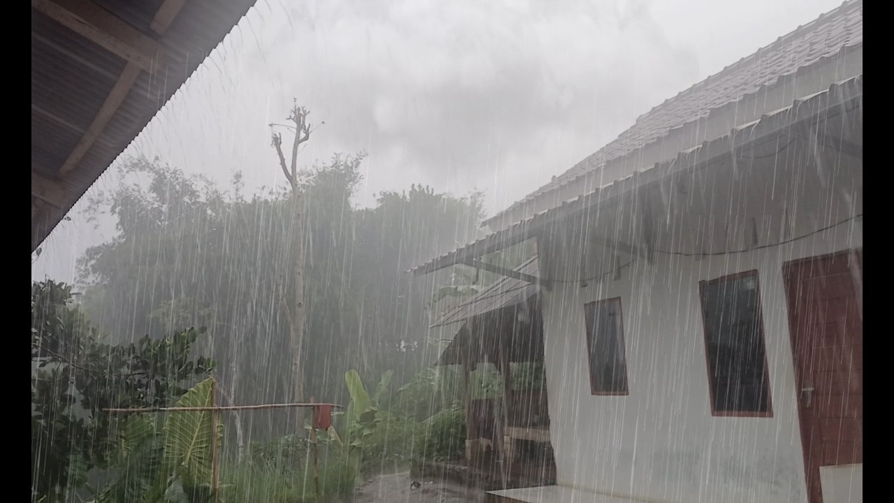 Звуки проливного, неумолимого дождя | Отключение мозга, полный принудительный сон 🌧