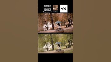 How to edit brown tone in vn tutorial #youtubeshorts #vneditor