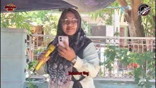 BUAYA NGOSED Vocal WATY ❗️Singadangdut DUA PUTRA show Luiwe Gede