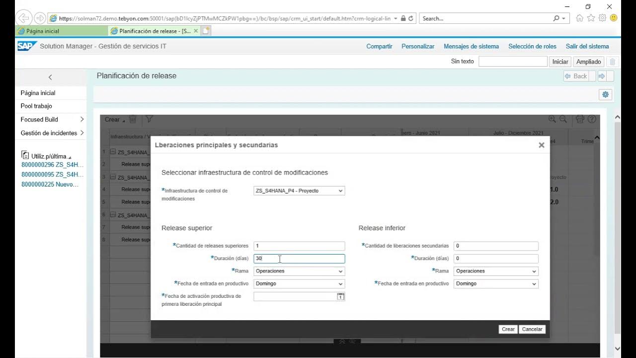 Solman 7.2 Focused Build Gestión de Releases Release Management
