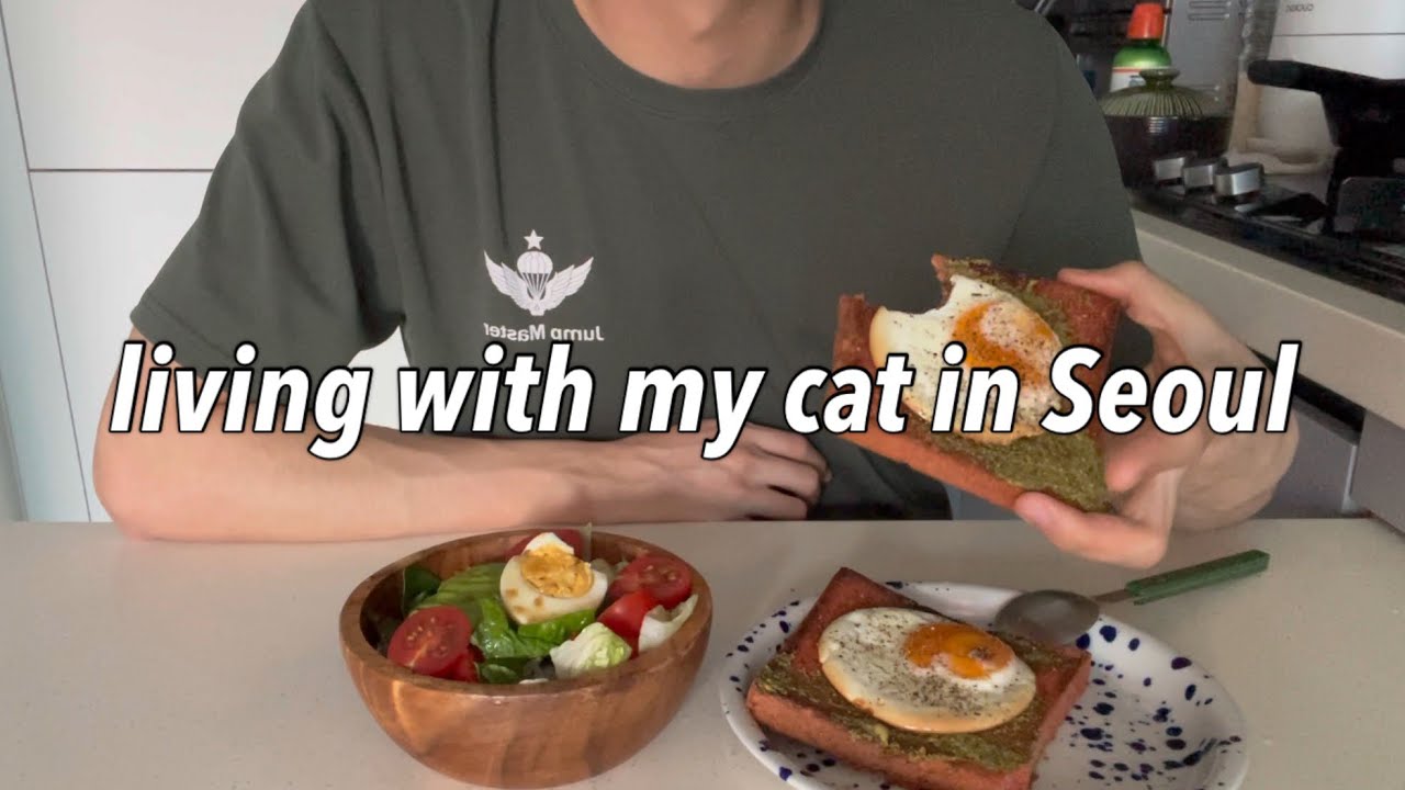 sub) Снова понедельник?! | Проблемы с глазом у кота | Бешеные выходные