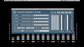 Multiplex Vocoder