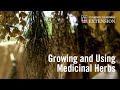 Intro to Growing and Using Medicinal Herbs