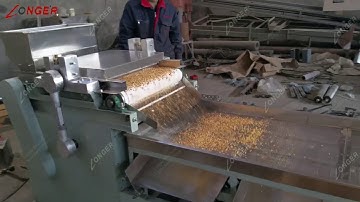 Almond Peanut Chopping Cutting Machine Testing Video
