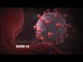 Coronavirus - COVID-19