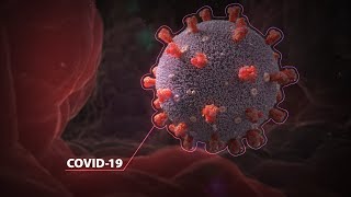 Coronavirus - COVID-19 Resimi