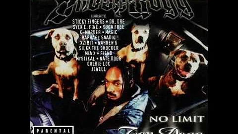 Snoop Dogg - Bitch Please (Instrumental) feat. Xzibit, Nate Dogg prod. by Dr. Dre (1999)