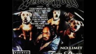 Snoop Dogg - Bitch Please (Instrumental) feat. Xzibit, Nate Dogg prod. by Dr. Dre (1999)