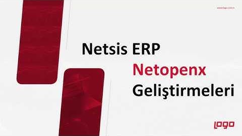 Netsis Rest/Netopenx Geliştirmeleri  (9.0.29)