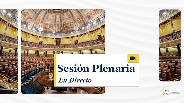Sesión Plenaria (con traducción y subtitulado) - 19/11/2025