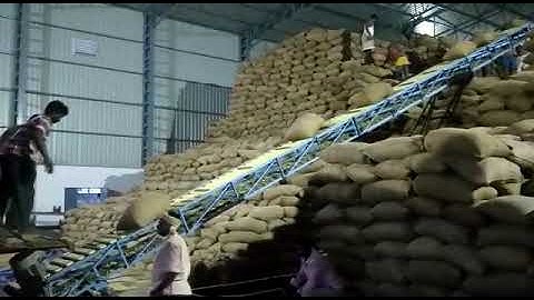 Paddy stacking conveyor/ paddy loading unloading conveyor