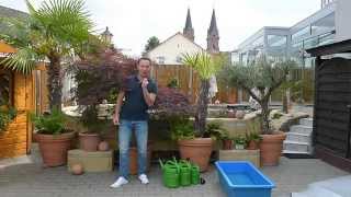Modern Koi Blog #223 - 42,000 liter pond in Hessian Tuscany