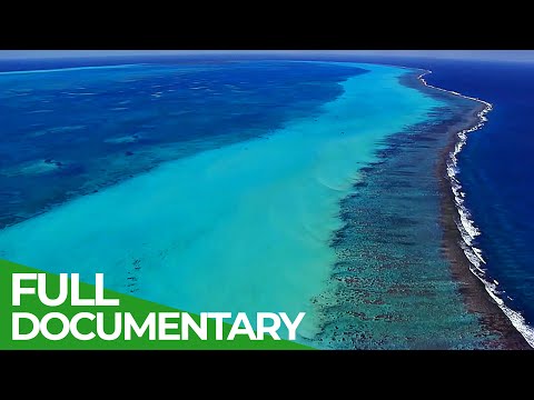 Earth - Our Precious & Endangered Home 