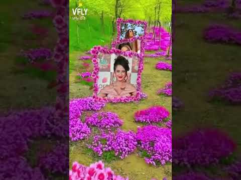 كل الورد بيغار من حمرت خدودك على تارا رايتشاند