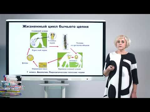7 класс. Биология. Паразитические плоские черви