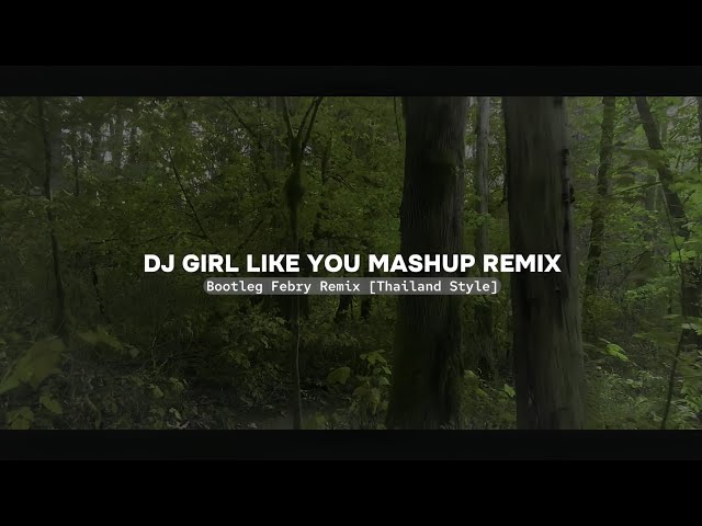 Dj Girl Like You Mashup Remix Thailand Style - New 2024 Bootleg Febry Remix || Dj Viral Tik tok! class=