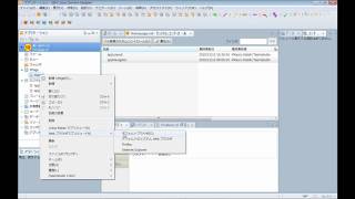XPages Extension Library で OneUI Part3