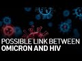Stanford Researchers Looking at Possible Link Between Omicron COVID Variant, HIV