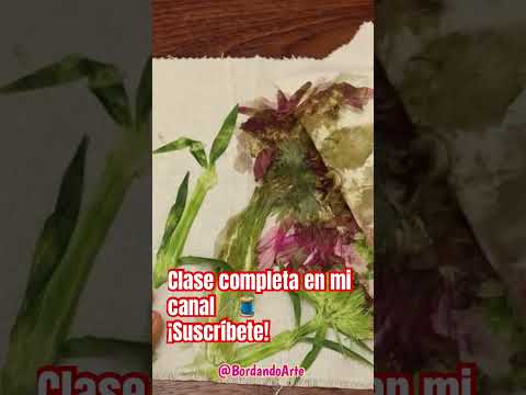 Teñido con flores naturales #embroidery #flores #bordandoarte #handmade #puntadas #bordado #embroide