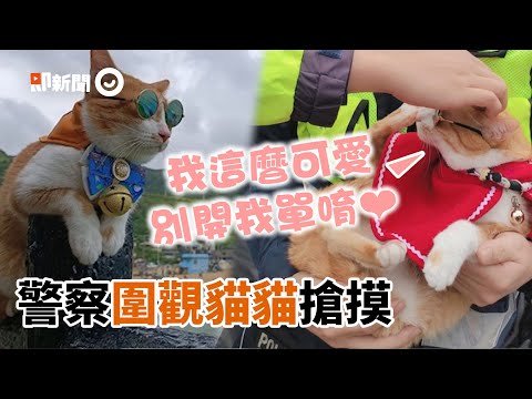 橘貓太吸睛！警察圍觀「搶摸」網笑翻：別忘記工作XD｜寵物動物｜看新聞