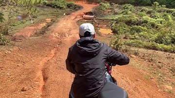 Trải nghiệm độc lạ có 1 "0" 2 khi đến cây thông cô đơn sẽ NTN ?