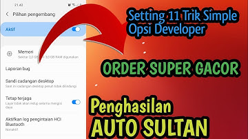 11 Trik Mudah Cara Setting Opsi Developer, Opsi Pengembang Untuk Driver Gojek dan Grab Terbaru 2023