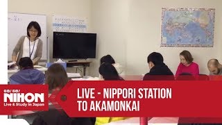 Japanese Lessons at Akamonkai Language School - Go! Go! Nihon Live Show