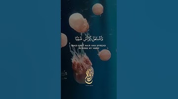 قَالَ رَبِّ إِنِّی وَهَنَ ٱلۡعَظۡمُ مِنِّی الشيخ المنشاوي سورة مريم