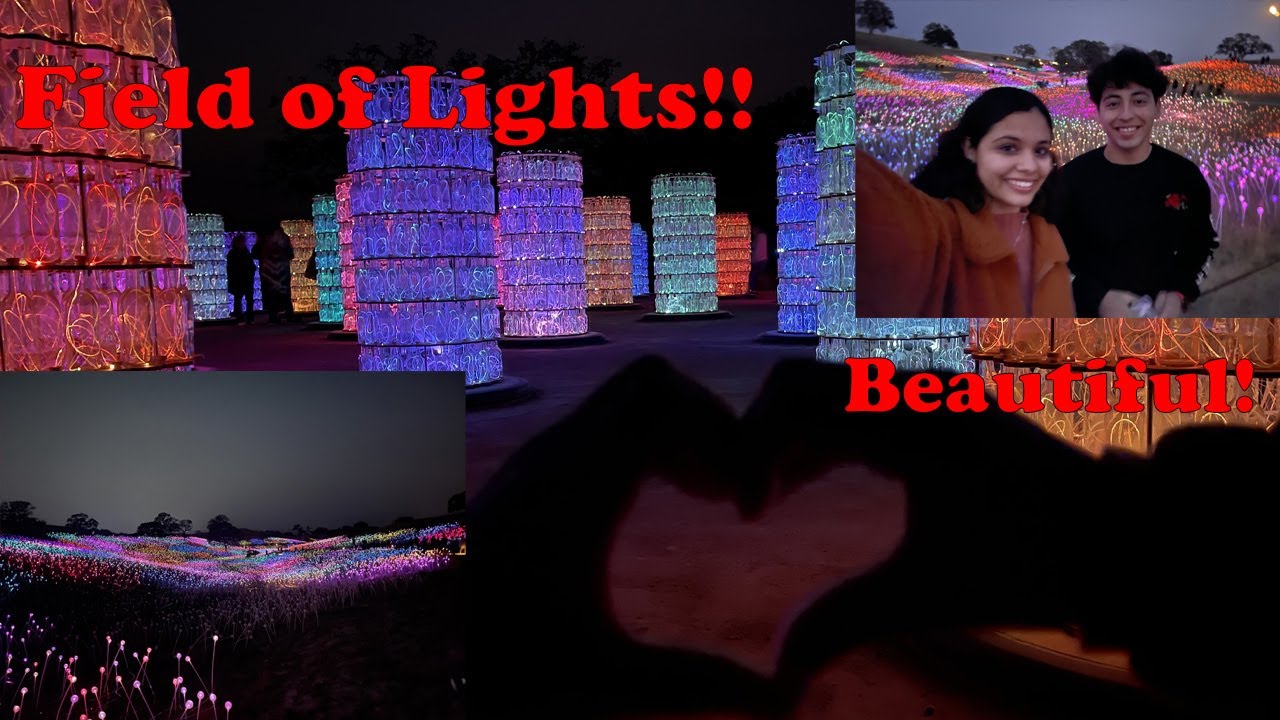 Field of Lights!! | Lights at Sensorio | MJC Vlog