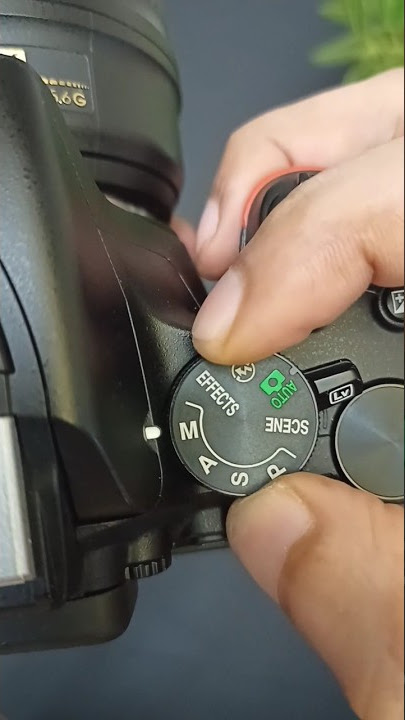 Camera settings to blur background in dslr #shorts #dslr #camera